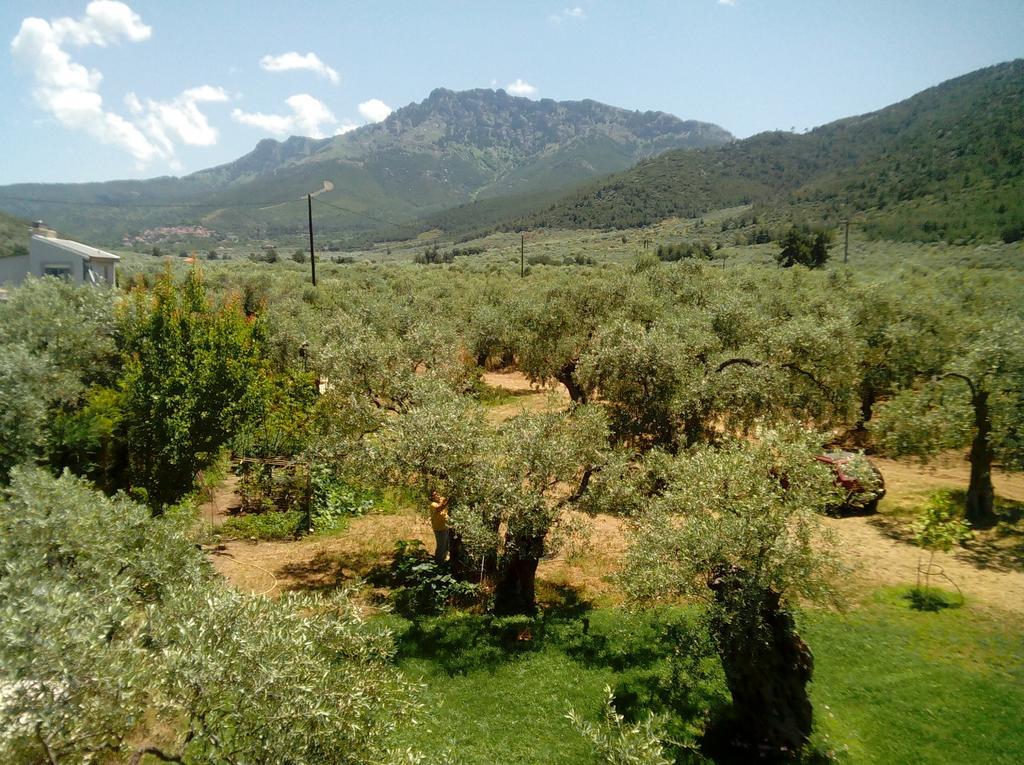 Villa Thomi Skala Rachoni  Bagian luar foto