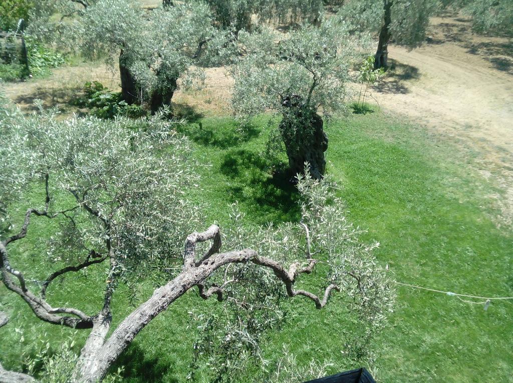 Villa Thomi Skala Rachoni  Bagian luar foto