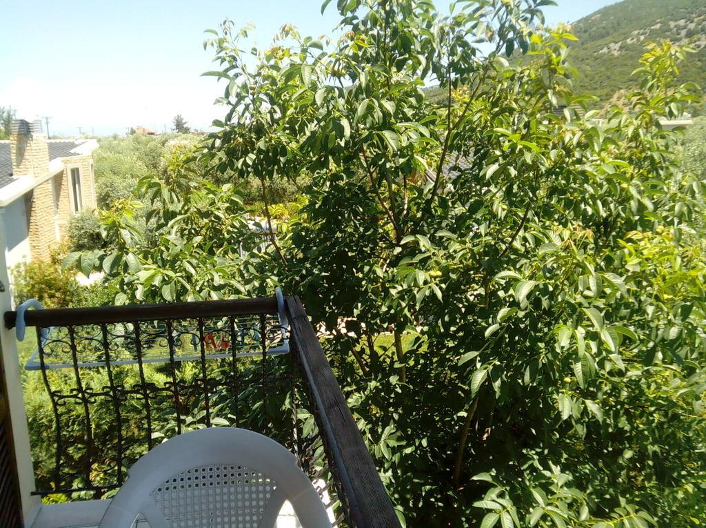 Villa Thomi Skala Rachoni  Bagian luar foto