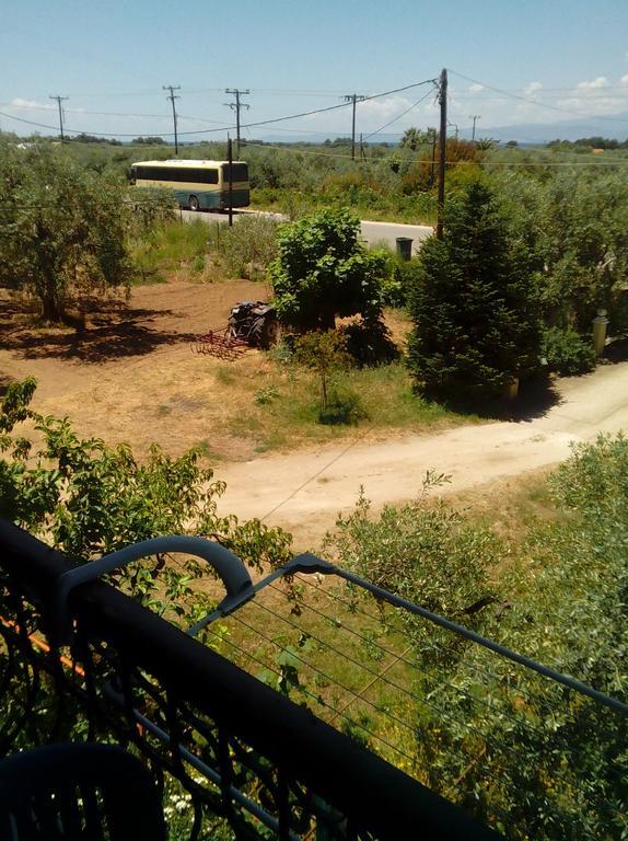 Villa Thomi Skala Rachoni  Bagian luar foto