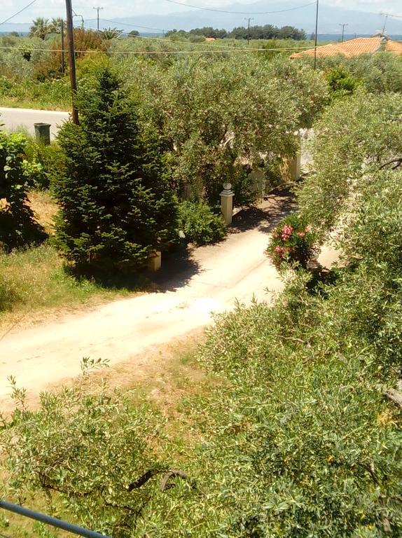Villa Thomi Skala Rachoni  Bagian luar foto