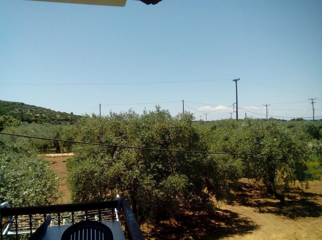 Villa Thomi Skala Rachoni  Bagian luar foto