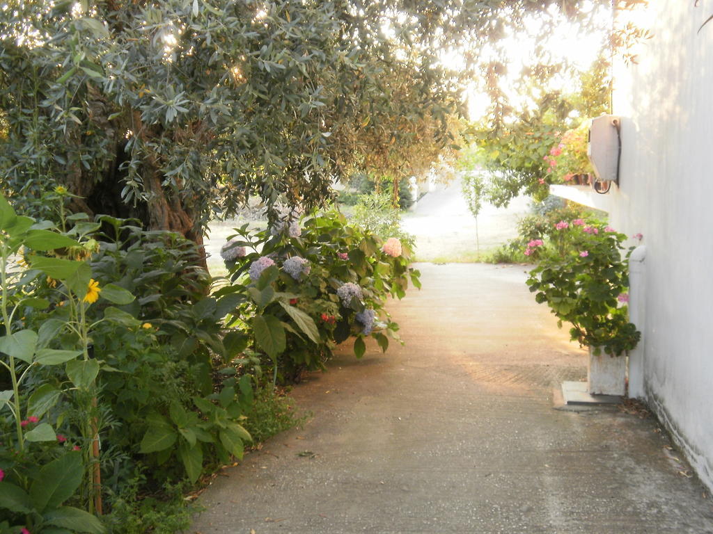Villa Thomi Skala Rachoni  Bagian luar foto