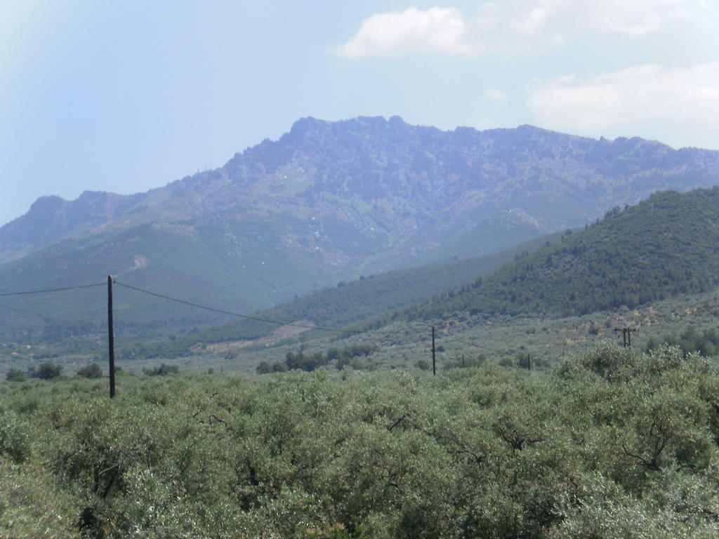 Villa Thomi Skala Rachoni  Bagian luar foto