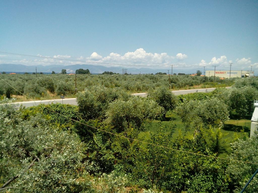 Villa Thomi Skala Rachoni  Bagian luar foto